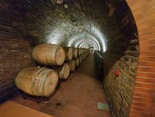 Az alattomos mustgáz: a veszélyeire figyelmeztetnek a falugazdászok