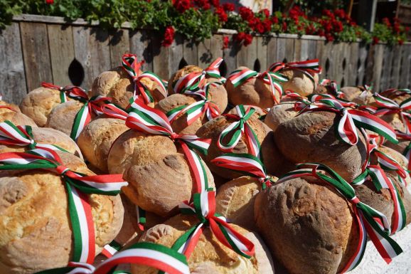 15 millió búzaszem: 1100 tonna gabona gyűlt össze