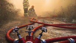 Felperzselődik az ország – rekordszámú vegetációtűz volt idén