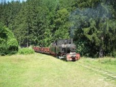 Fakitermelők tönkretették a kovásznai ipartörténeti kisvasutat