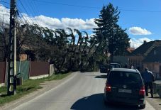 Áramkiesés, kidöntött fák – tarolt a szél Hargita megyében