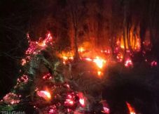 Erdőtűz pusztított – tíz hektár növényzet égett le