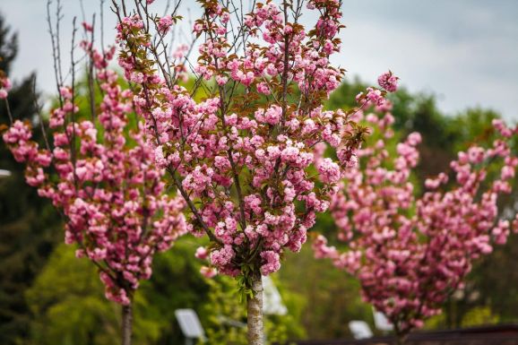 Jön a jó idő, de a meleg ruhát még ne pakoljuk el