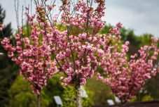 Jön a jó idő, de a meleg ruhát még ne pakoljuk el