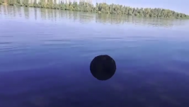 Tengeri aknát fedezhettek fel a határőrök a Duna-deltában