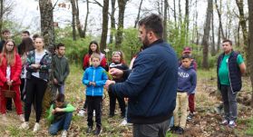 Hagyományos Medvehagyma napot tartottak Kémeren