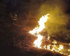 Egy nap, hat tűzeset – a katasztrófavédelem figyelmeztet