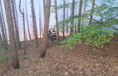 FRISSÍTVE – Sikerült eloltani a tüzet a kolozsvári Bükkben