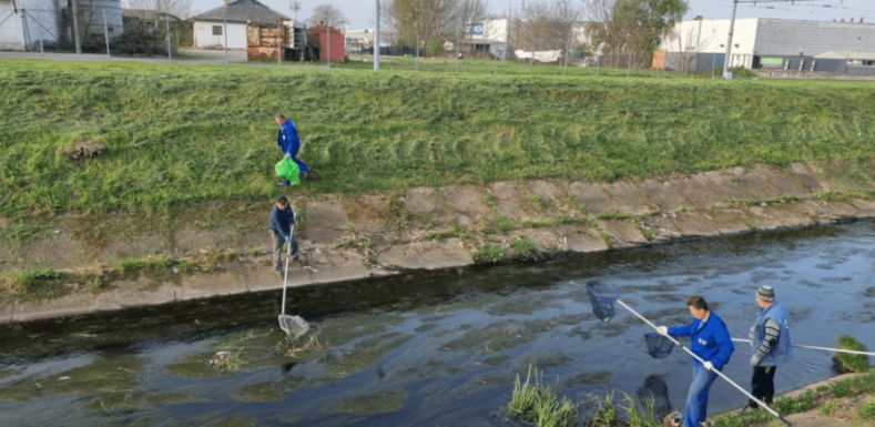 Vízszennyeződés Bihar megyében – halpusztulást jelentettek