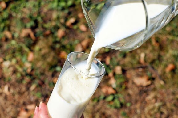 Gyanúsan kevés tejet vásárolnak a multik a hazai termelőktől