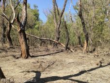 Fenyegető drónok: „utasok nélkül