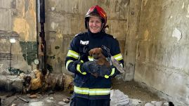 Két fal közé szorult kiskutyát mentettek a tűzoltók – az egyik azonnal örökbe fogadta