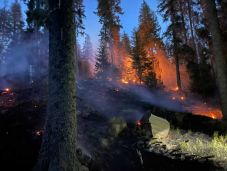 Erdőtűz pusztított a Görgényi-havasokban (VIDEÓ)