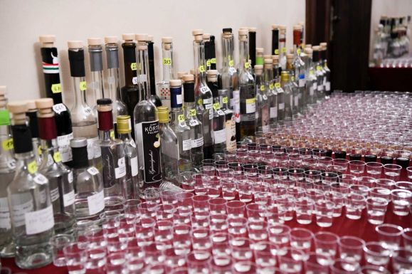 Pálinka és párlatverseny: több mint hétszáz mintát bíráltak Nagykárolyban