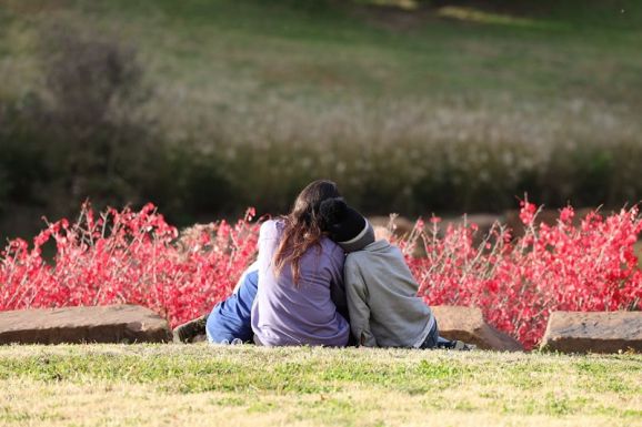 Felborult a természet rendje, hosszabbodik a virágzás időszaka – egyre több az allergiás beteg