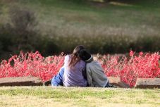 Felborult a természet rendje, hosszabbodik a virágzás időszaka – egyre több az allergiás beteg