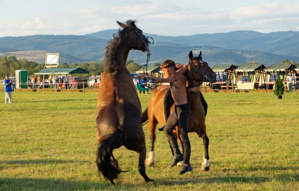 A paripák szerelmeseinek: Háromszéki Lovasnapok Nyújtódon