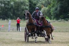 Háromszéki győzelem az oltszemi nemzetközi lovas fogathajtó versenyen
