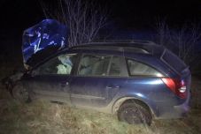 Nem kap kártérítést a vadat elgázoló gépkocsi-tulajdonos