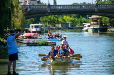 Színházi világ a sportpályán: évadnyitó tornát szervez a Csiky Gergely Állami Magyar Színház