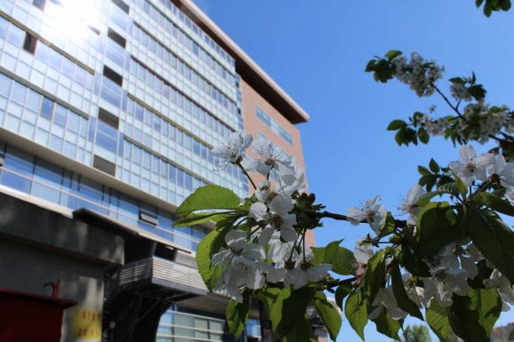 Ügyészek tartanak házkutatást az egyetemen