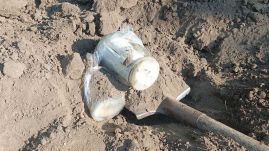 Egy nyugdíjas elásott a kertjében húszezer dollárt, később nem találta, így hívta a rendőrséget