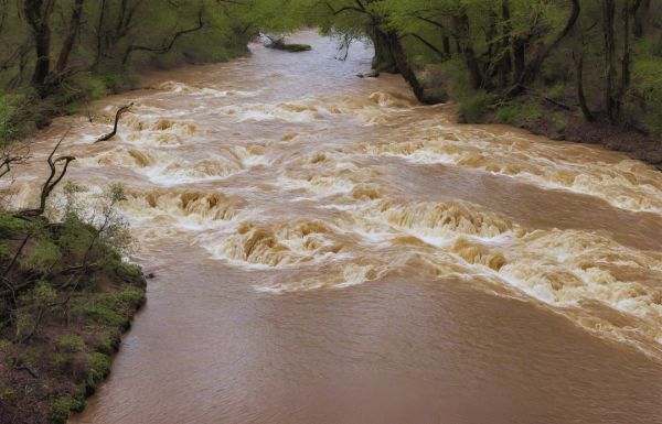 Viharjelzés és árvízkészültség