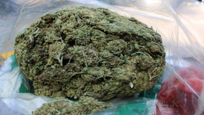 Több mint egy kiló kannabisszal kaptak el egy férfit