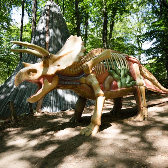 Kalandpark épül Sepsiszentgyörgy közelében