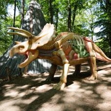 Kalandpark épül Sepsiszentgyörgy közelében