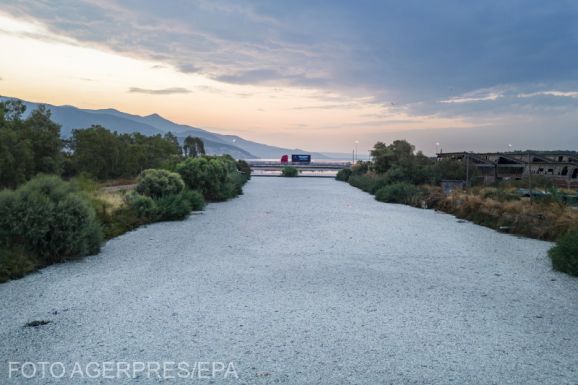 Környezeti katasztrófa: több tonna haltetem árasztotta el a kikötőt