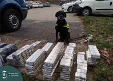 A magyar keresőkutya szagolta ki a csempészcigarettát a román kisbuszban (VIDEÓ)