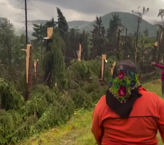 Tarolt a vihar: villámcsapás sújtott halálra egy férfit, egy hektár erdőt kidöntött a szél