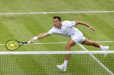 Wimbledon: Marozsán és Fucsovics is elvérzett az első játéknapon