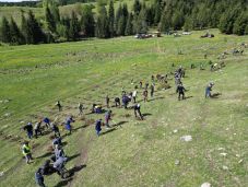 Több mint 110 ezer facsemetét ültettek el egy zöldebb Hargita megyéért