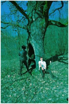 Sötét transzilvanizmus