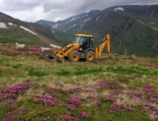 Pórul járt a pásztor, aki utat építtetett a természetvédelmi területen