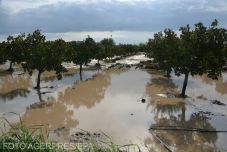 Villámárvizek alakulhatnak ki egy sor erdélyi folyón