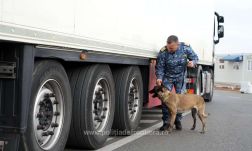 Átterelődés: Románia irányába is szállítják a migránsokat 
