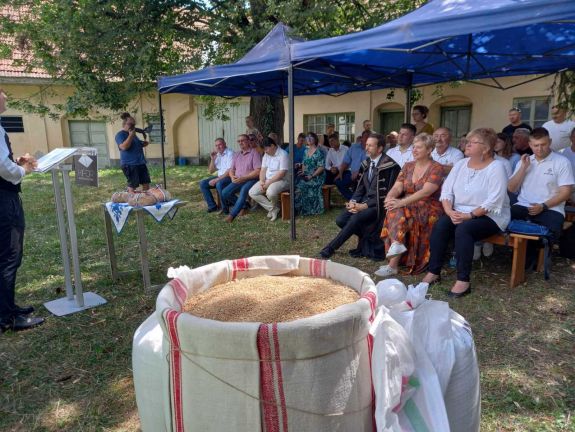 Magyarok Kenyere: először szerveztek búzaösszeöntő ünnepséget Fehér megyében