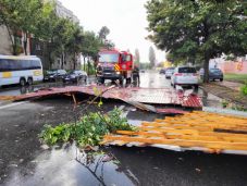 Pusztított a vihar: fákat tört ki, tetőket rongált meg