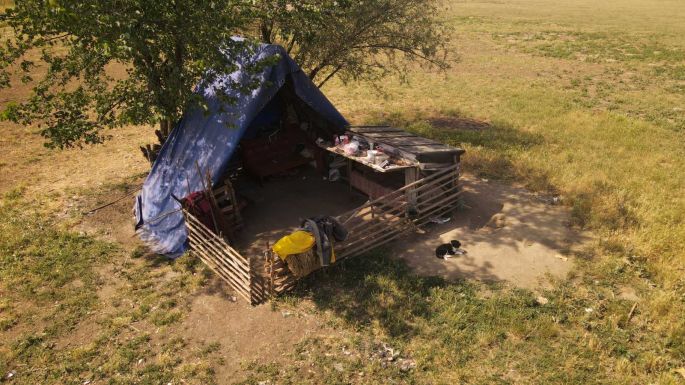 Juhásszal „harcolnak” a sepsiszentgyörgyi hatóságok: büntetésekkel próbálják jó útra téríteni