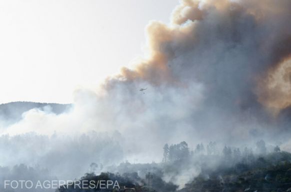 Sikerült eloltani az Athén határában pusztító erdőtüzet