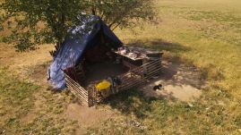 Juhásszal „harcolnak” a sepsiszentgyörgyi hatóságok: büntetésekkel próbálják jó útra téríteni