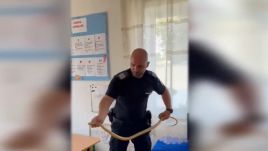 Pánik: kígyó zavarta meg a választást