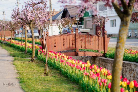 Kolozs megye: ezeken a településeken nyertek az RMDSZ jelöltjei