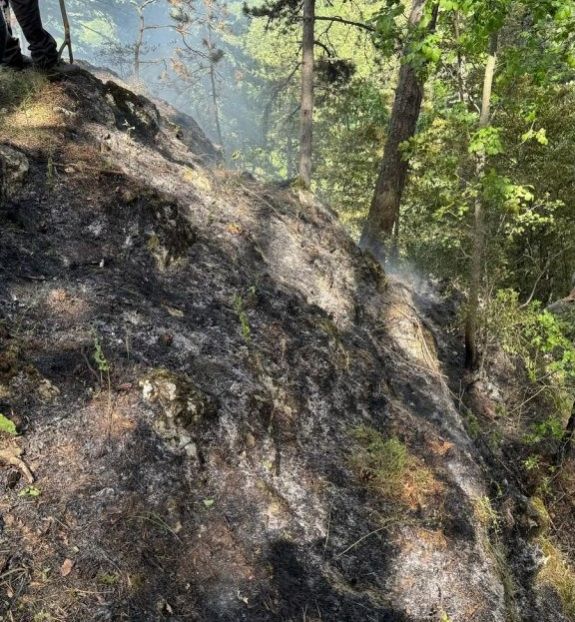 Ég az erdő Brassó közelében – Egy erdész megsérült