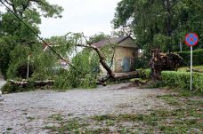Fákat döntött ki, áramszünetet okozott a vihar Hargita megyében