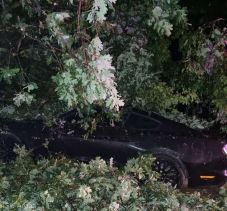 Fákat döntött ki a vihar, autók rongálódtak meg – Egy férfit kórházba szállítottak