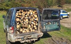 A famaffiával való kapcsolata miatt büntetőeljárás indult a Fehér megyei rendőrfőnök ellen